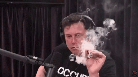 245C3C05-ECEE-441F-AD62-44D2C7607D70.gif 245C3C05-ECEE-441F-AD62-44D2C7607D70.gif