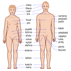 1651061800180.png