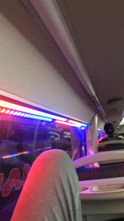 17A0110B-E95E-44C3-B0D0-7BEDC451D19B.png