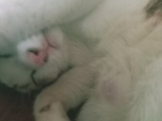 IMG20220430102505_00.jpg