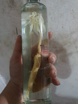 20220430_192737.jpg