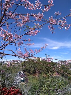 IMG_20220428_200005.jpg