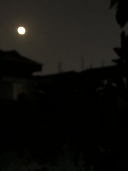 68BEFCCB-A743-4A16-8B6C-5A57D15424A2.jpeg