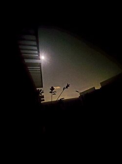 20220217_213317.jpg