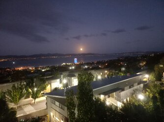 trang.jpg