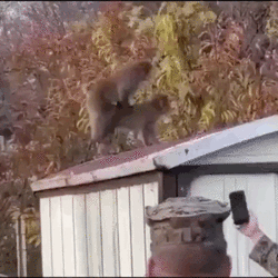 1652850511857.gif 1652850511857.gif