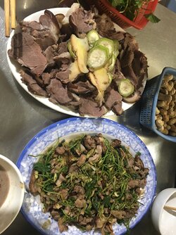 1FCC5D88-DADB-4E3E-8C9D-5A97782B53A6.jpeg