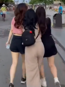 1653534375049.png