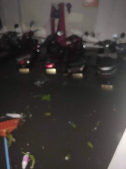 received_344636261072626.jpeg