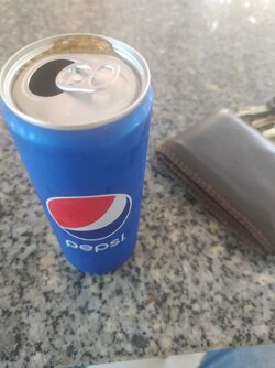 IMG_20220604_101722.jpg