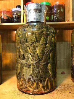 bai-thuoc-ngam-ruou-tang-cuong-sinh-ly-9.jpg