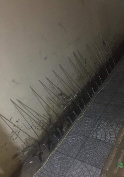received_1345697569119316.jpeg