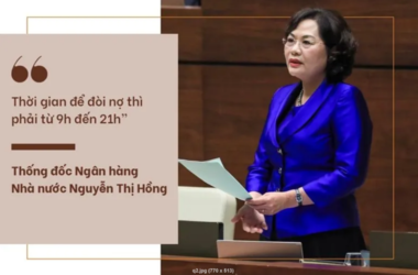 z11 (2).png