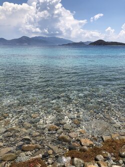IMG_20220617_085234.jpg