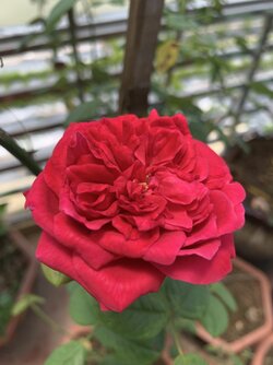 C30A1D18-B777-44AD-B1EB-B0EAA36C43F1.jpeg