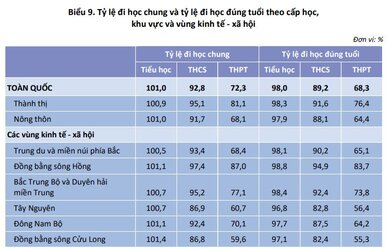 dan-so-viet-nam-2019-14.jpg