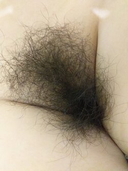 FQlxL4FVEAcjLyc.jpeg FQlxL4FVEAcjLyc.jpeg