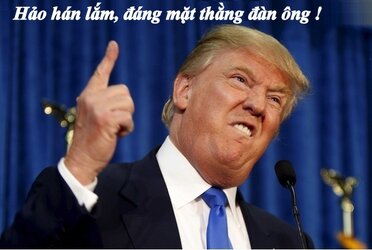 dtn6.jpg