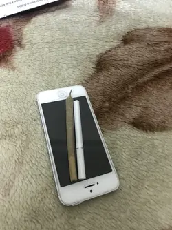 81641