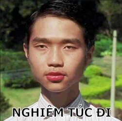 tg10.jpg