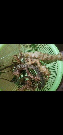 Screenshot_20220702-134654_Photos.jpg Screenshot_20220702-134654_Photos.jpg