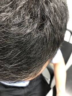 IMG_3259.jpeg