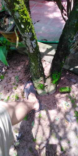 IMG_20220715_121737.jpg