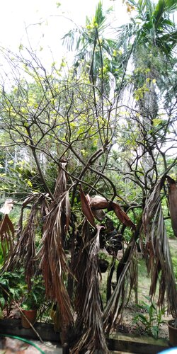 IMG_20220715_121553.jpg
