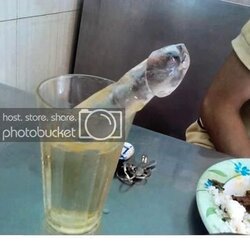 1658047647562.jpeg