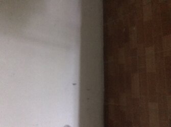 9209849E-57C2-4044-B3CC-DE29537299BD.jpeg