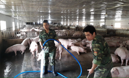 1658814498301.png 1658814498301.png