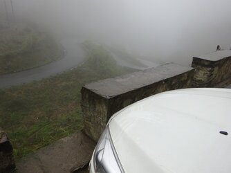 IMG_20220803_170626.jpg