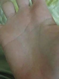 image.webp