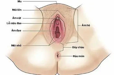 92568