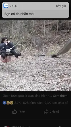 96663