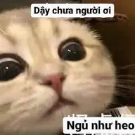 cumalo