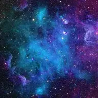 peternguyen24