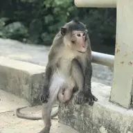 Okminhyeudi