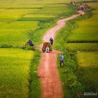 theanh93hp
