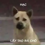 Minhlamgh