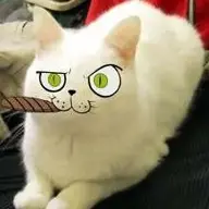 mibumega