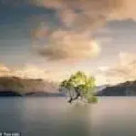 Eggg