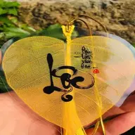 Xoisori