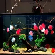 tonynguyen90