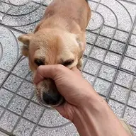 dinhdu2704