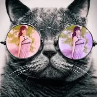 meoden0291