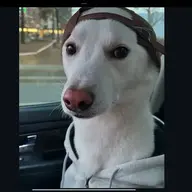 Boidol