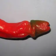 Trọng Thủy