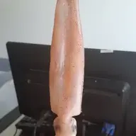 hoahoang1204