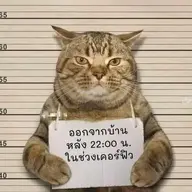 Chitan369
